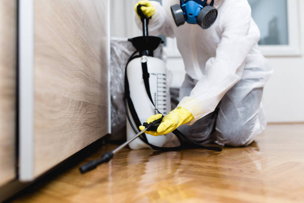 Best Mosquito Control Services  in Guadalupe, AZ