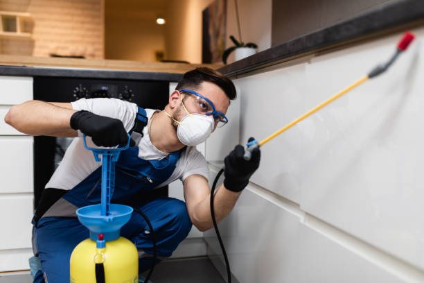 Best Wasp Removal Services  in Guadalupe, AZ