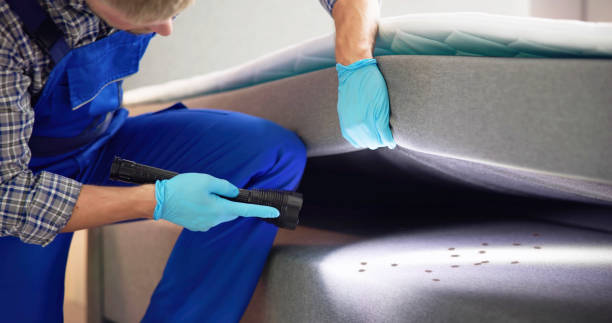 Best Pest Control Treatment  in Guadalupe, AZ