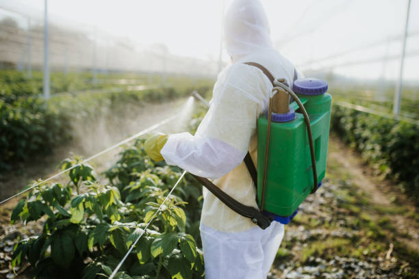 Best Wildlife Control Services  in Guadalupe, AZ